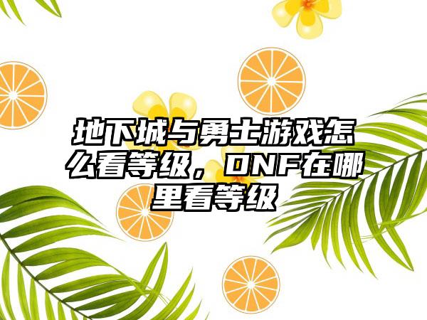 地下城与勇士游戏怎么看等级，DNF在哪里看等级