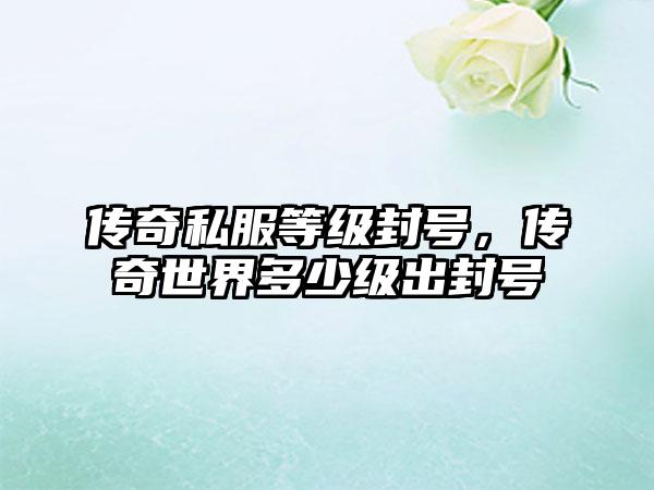 传奇私服等级封号，传奇世界多少级出封号