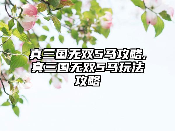 真三国无双5马攻略,真三国无双5马玩法攻略