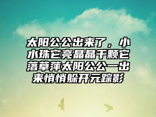 太阳公公出来了，小水珠它亮晶晶千颗它落草萍太阳公公一出来悄悄躲开元踪影