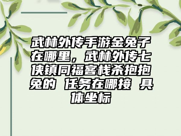 武林外传手游金兔子在哪里，武林外传七侠镇同福客栈杀抱抱兔的 任务在哪接 具体坐标