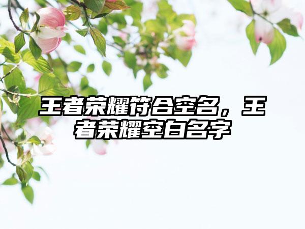 王者荣耀符合空名，王者荣耀空白名字