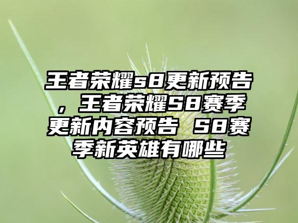 王者荣耀s8更新预告，王者荣耀S8赛季更新内容预告 S8赛季新英雄有哪些
