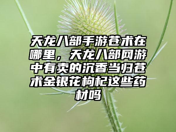 天龙八部手游苍术在哪里，天龙八部网游中有卖的沉香当归苍术金银花枸杞这些药材吗