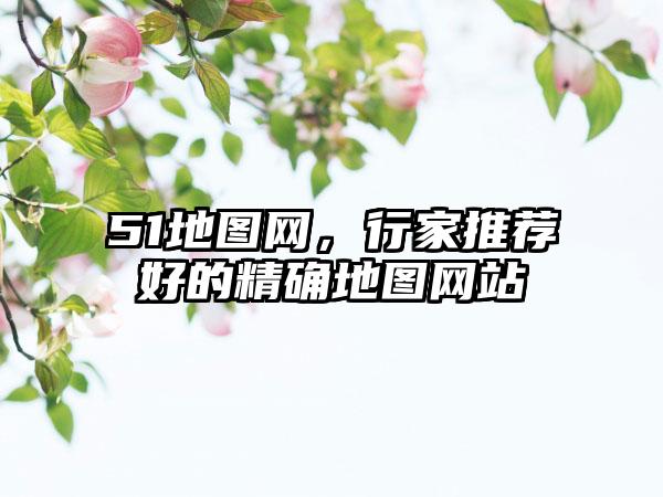 51地图网，行家推荐好的精确地图网站