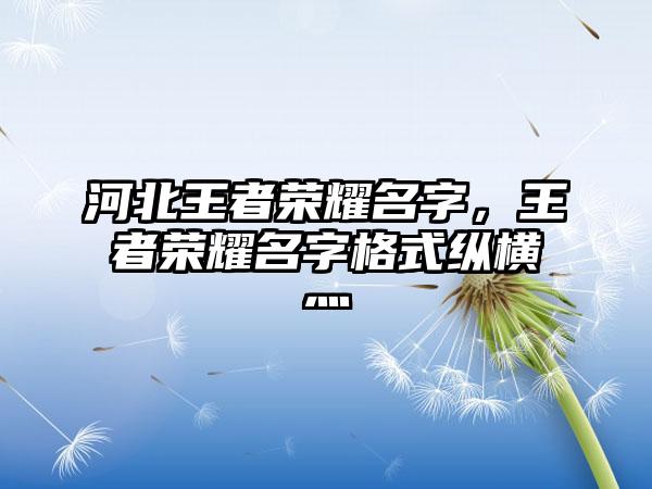 河北王者荣耀名字，王者荣耀名字格式纵横灬