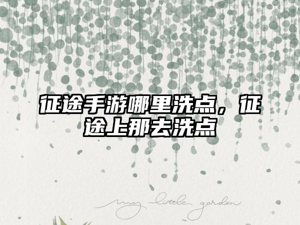 征途手游哪里洗点，征途上那去洗点