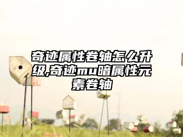 奇迹属性卷轴怎么升级,奇迹mu暗属性元素卷轴