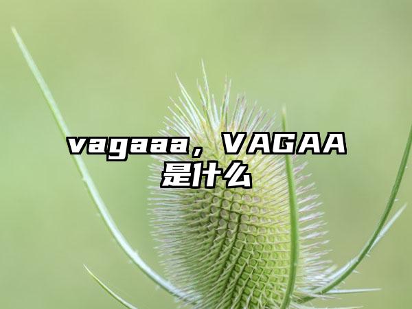 vagaaa，VAGAA是什么