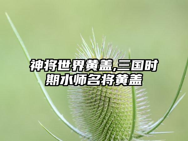 神将世界黄盖,三国时期水师名将黄盖