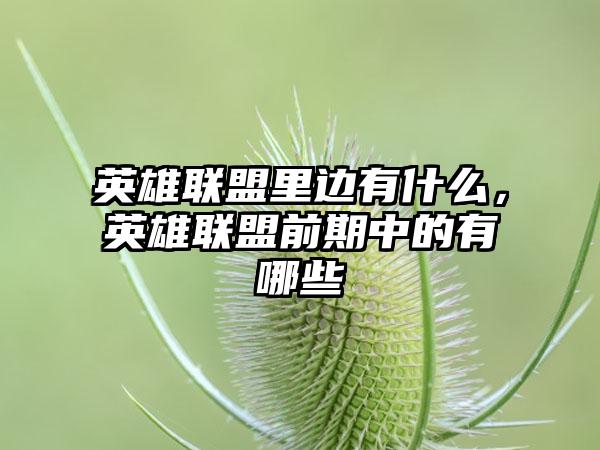 英雄联盟里边有什么，英雄联盟前期中的有哪些
