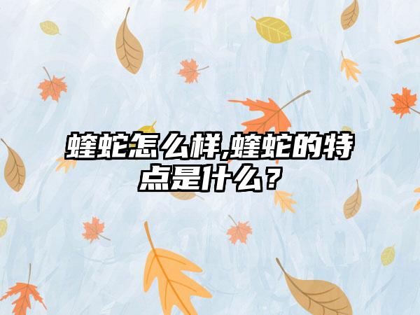 蝰蛇怎么样,蝰蛇的特点是什么？