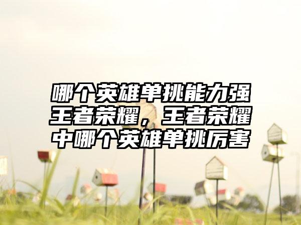 哪个英雄单挑能力强王者荣耀，王者荣耀中哪个英雄单挑厉害