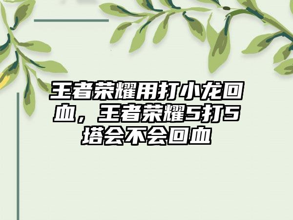 王者荣耀用打小龙回血，王者荣耀5打5塔会不会回血