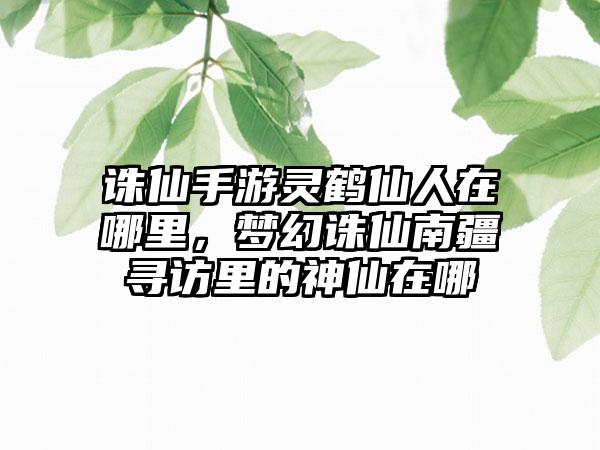 诛仙手游灵鹤仙人在哪里，梦幻诛仙南疆寻访里的神仙在哪