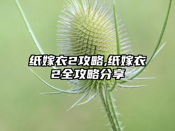 纸嫁衣2攻略,纸嫁衣2全攻略分享