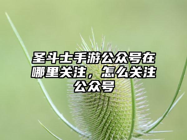 圣斗士手游公众号在哪里关注，怎么关注公众号