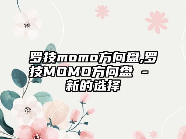 罗技momo方向盘,罗技MOMO方向盘 - 新的选择