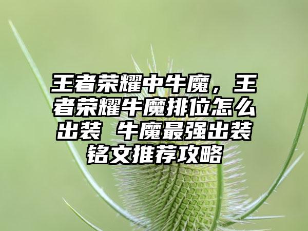 王者荣耀中牛魔，王者荣耀牛魔排位怎么出装 牛魔最强出装铭文推荐攻略