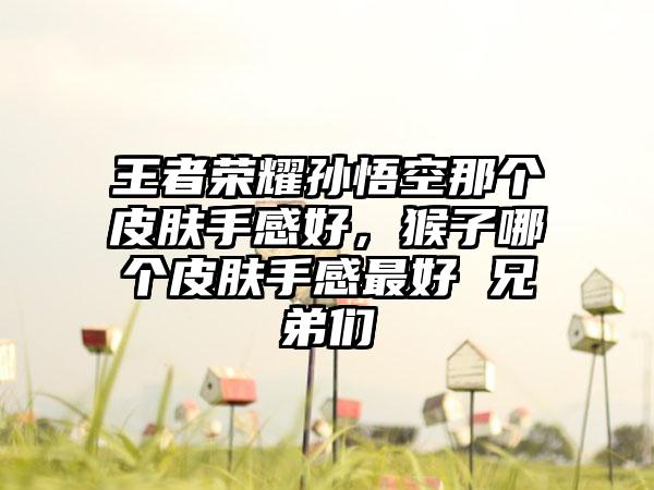 王者荣耀孙悟空那个皮肤手感好，猴子哪个皮肤手感最好 兄弟们