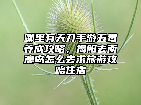 哪里有天刀手游五毒养成攻略，揭阳去南澳岛怎么去求旅游攻略住宿