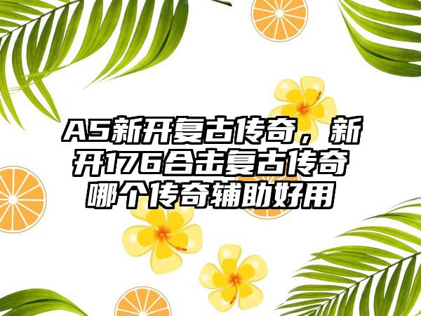 A5新开复古传奇，新开176合击复古传奇哪个传奇辅助好用