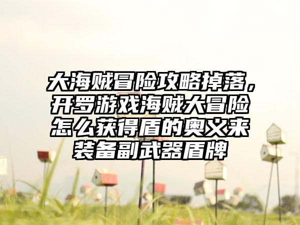 大海贼冒险攻略掉落，开罗游戏海贼大冒险怎么获得盾的奥义来装备副武器盾牌