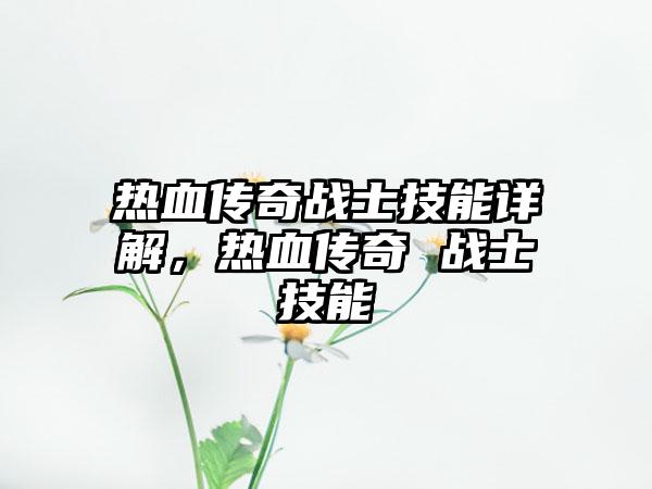 热血传奇战士技能详解，热血传奇 战士技能