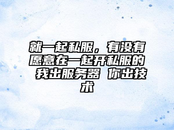 就一起私服，有没有愿意在一起开私服的 我出服务器 你出技术