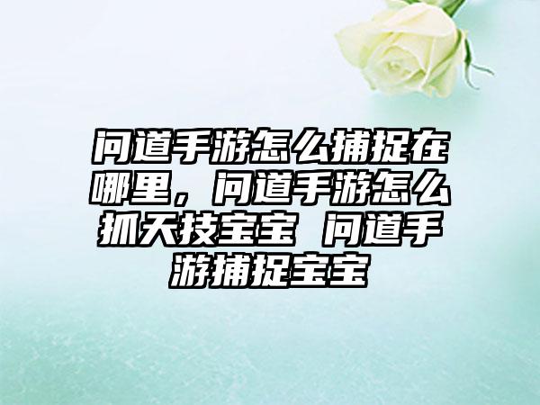 问道手游怎么捕捉在哪里，问道手游怎么抓天技宝宝 问道手游捕捉宝宝
