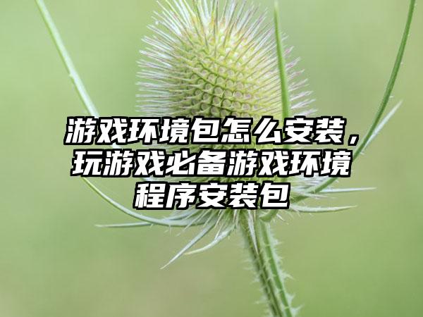 游戏环境包怎么安装，玩游戏必备游戏环境程序安装包