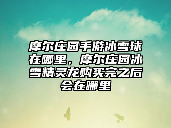 摩尔庄园手游冰雪球在哪里，摩尔庄园冰雪精灵龙购买完之后会在哪里