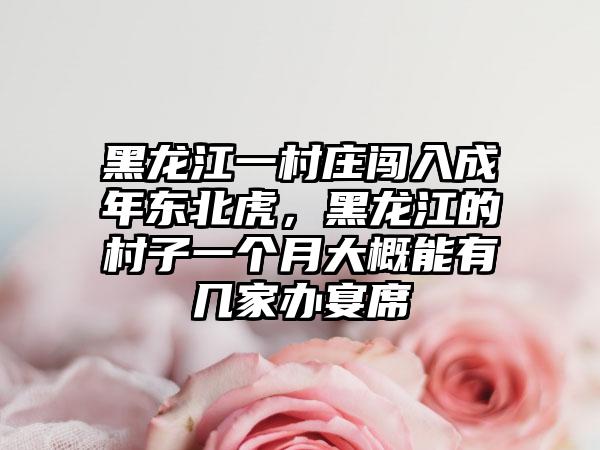 黑龙江一村庄闯入成年东北虎，黑龙江的村子一个月大概能有几家办宴席