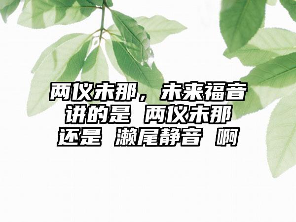 两仪未那，未来福音 讲的是 两仪未那 还是 濑尾静音 啊