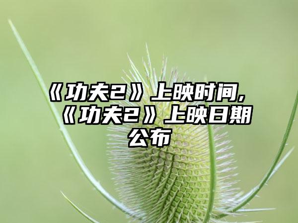 《功夫2》上映时间,《功夫2》上映日期公布