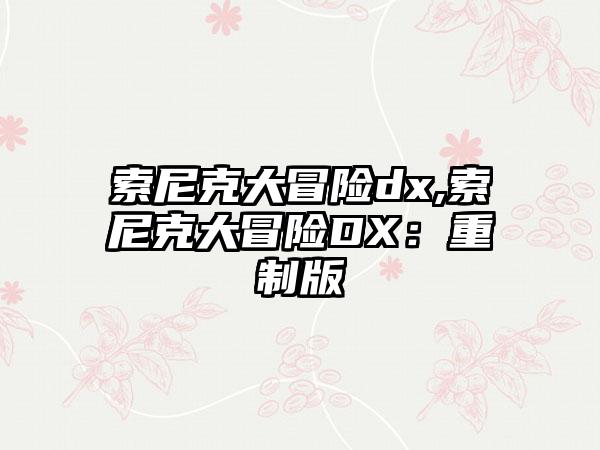 索尼克大冒险dx,索尼克大冒险DX：重制版