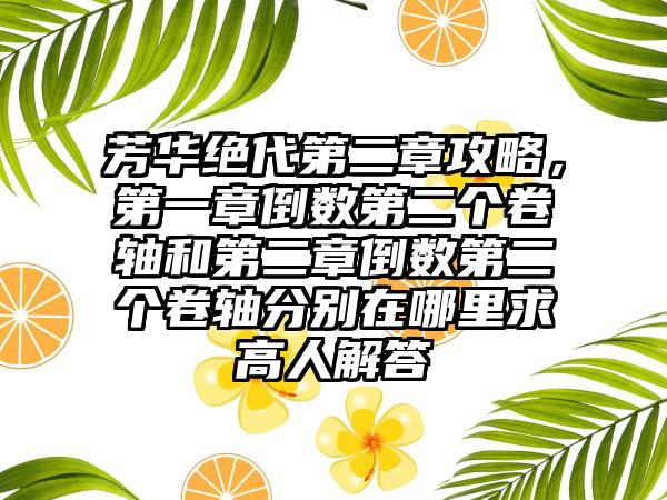 芳华绝代第二章攻略，第一章倒数第二个卷轴和第二章倒数第二个卷轴分别在哪里求高人解答