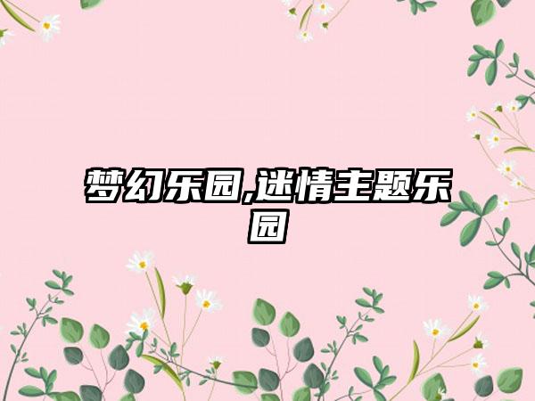 梦幻乐园,迷情主题乐园