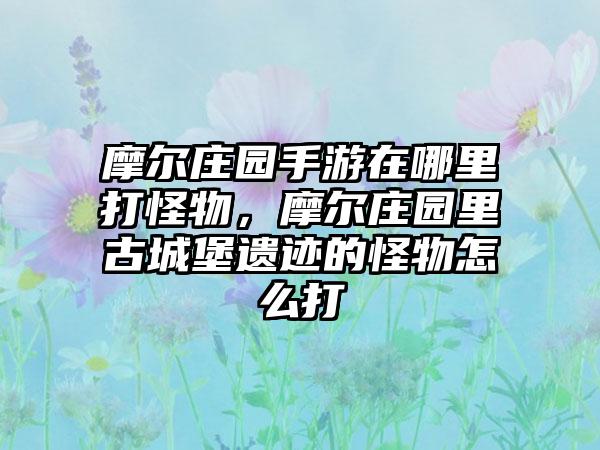 摩尔庄园手游在哪里打怪物，摩尔庄园里古城堡遗迹的怪物怎么打