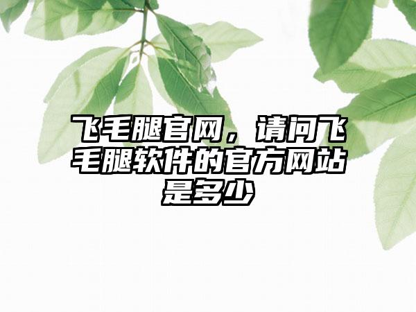 飞毛腿官网，请问飞毛腿软件的官方网站是多少