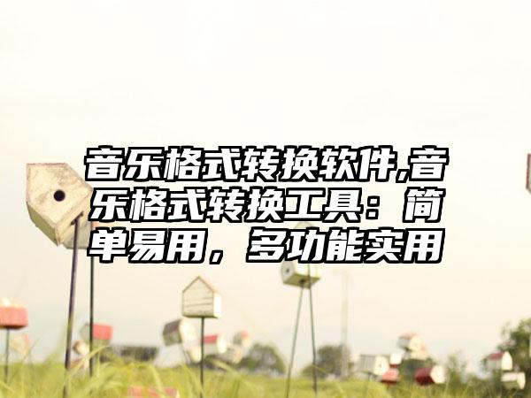 音乐格式转换软件,音乐格式转换工具：简单易用，多功能实用