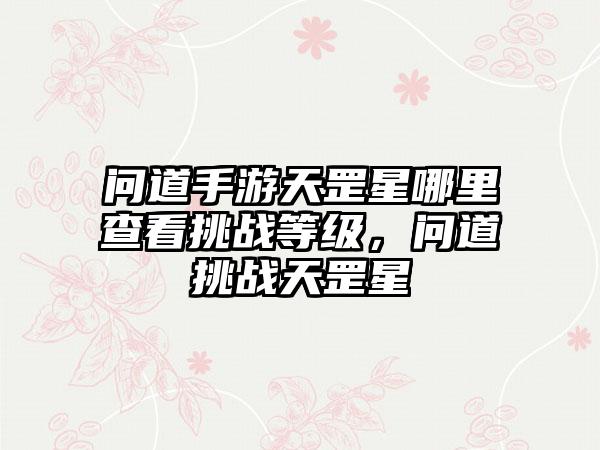 问道手游天罡星哪里查看挑战等级，问道挑战天罡星