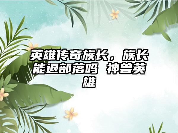 英雄传奇族长，族长能退部落吗 神兽英雄