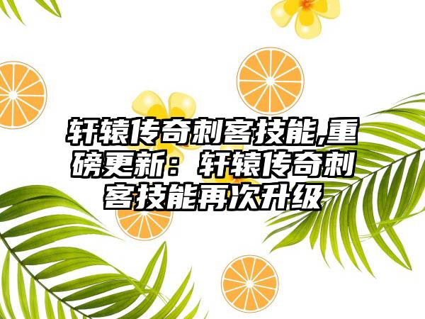 轩辕传奇刺客技能,重磅更新：轩辕传奇刺客技能再次升级