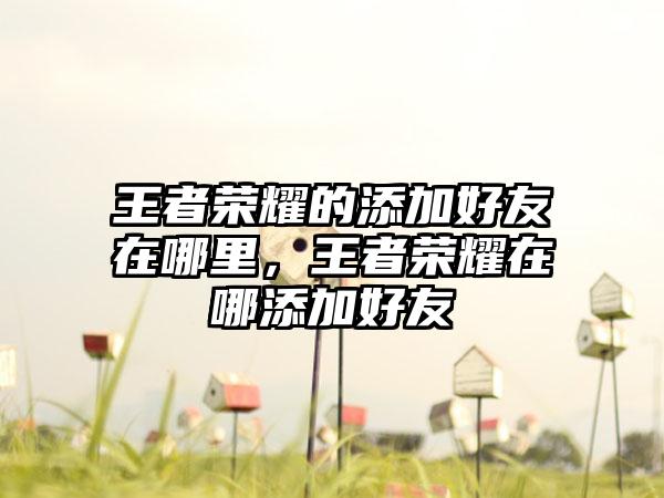 王者荣耀的添加好友在哪里，王者荣耀在哪添加好友