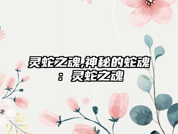 灵蛇之魂,神秘的蛇魂：灵蛇之魂