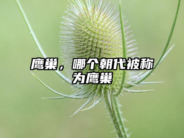 鹰巢，哪个朝代被称为鹰巢