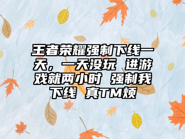 王者荣耀强制下线一天，一天没玩 进游戏就两小时 强制我下线 真TM烦