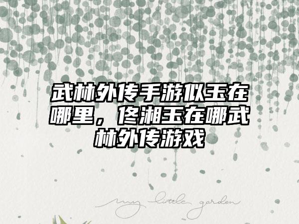 武林外传手游似玉在哪里，佟湘玉在哪武林外传游戏