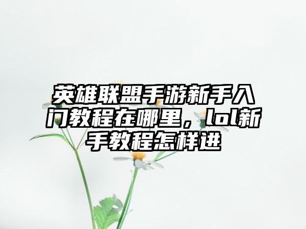 英雄联盟手游新手入门教程在哪里，lol新手教程怎样进